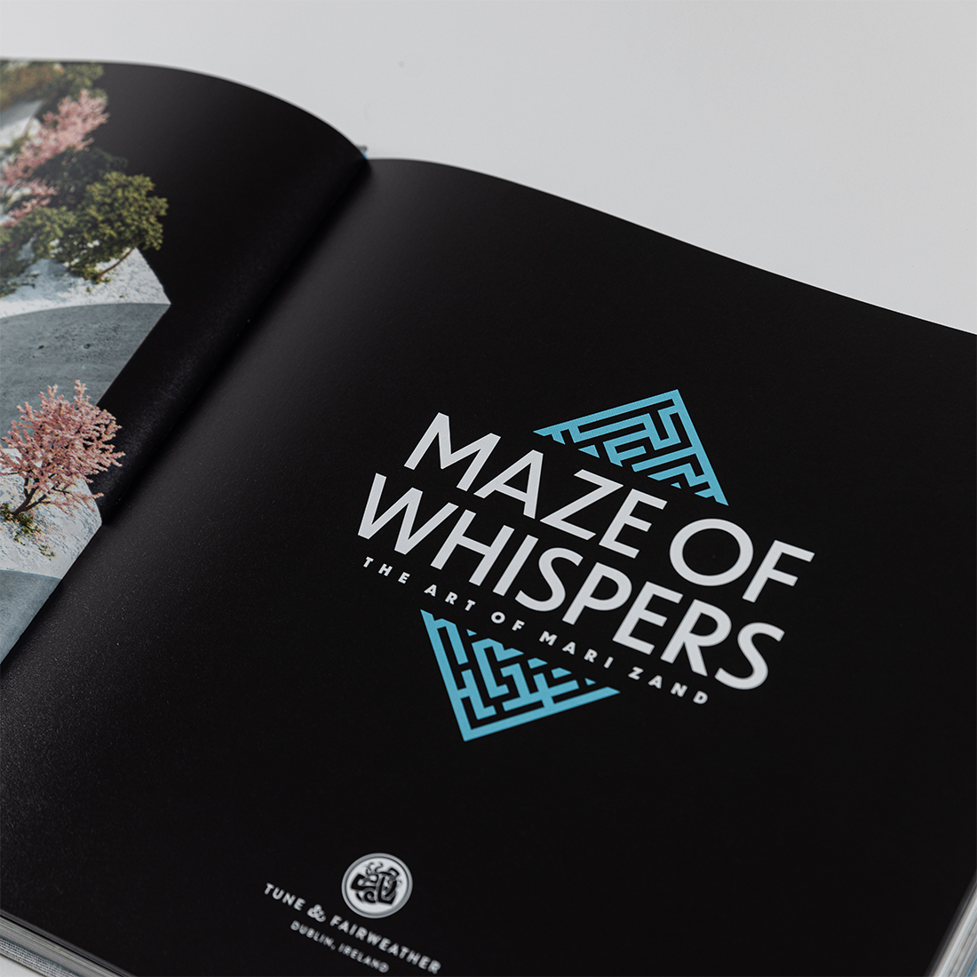 Maze of Whispers: The Art of Mari Zand